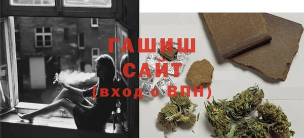 сатива Белокуриха