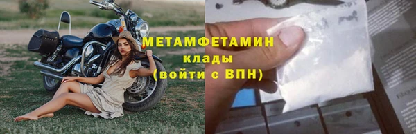 сатива Белокуриха