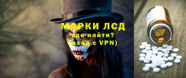 сатива Белокуриха