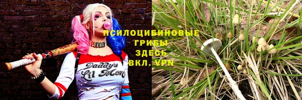 метадон Беломорск
