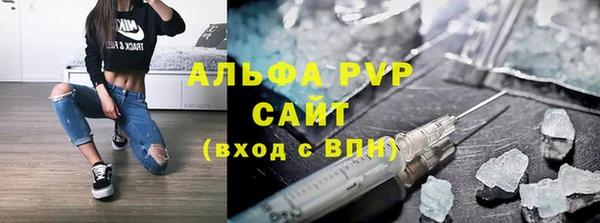 сатива Белокуриха